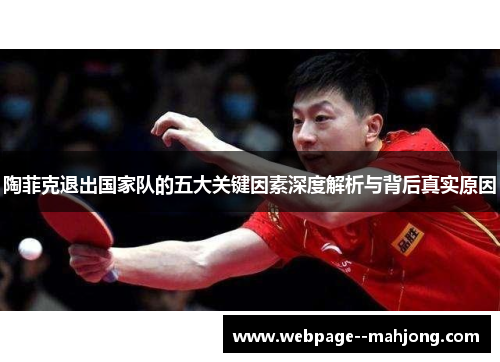 陶菲克退出国家队的五大关键因素深度解析与背后真实原因